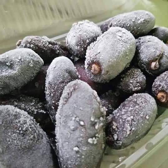 saffiyah-kurma-ruthob-fresh