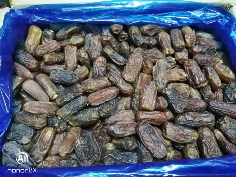 WhatsApp-Image-2020-04-18-at-10.03.04-PM