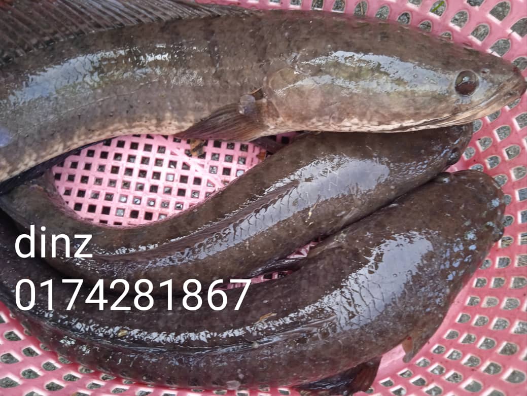 WhatsApp-Image-2024-02-19-at-12.03.32