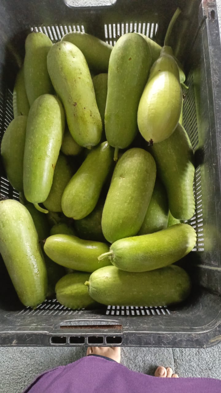 WhatsApp-Image-2024-06-16-at-09.16.59