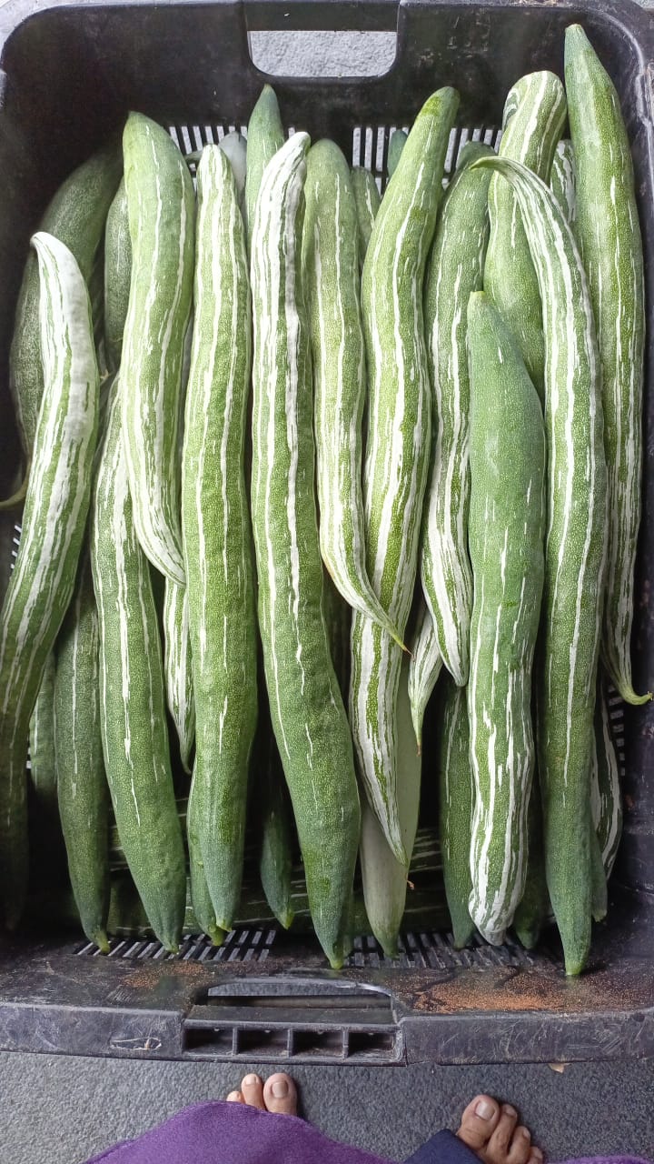 WhatsApp-Image-2024-06-16-at-09.17.00