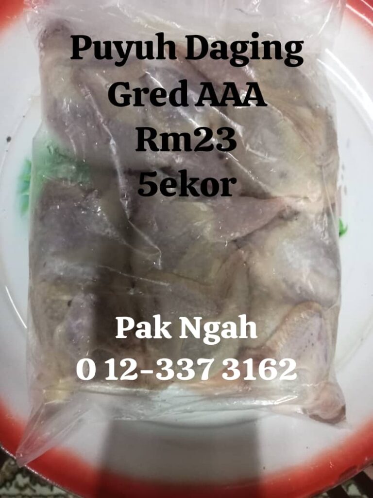 WhatsApp-Image-2024-07-20-at-09.17.57